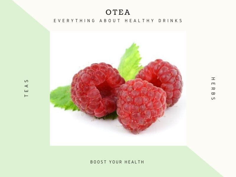 Raspberry tea is effective for adaptive immunity