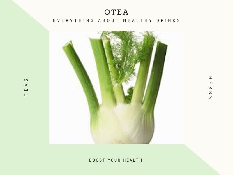 lose weight diuretic herb currant leaves fennel 1