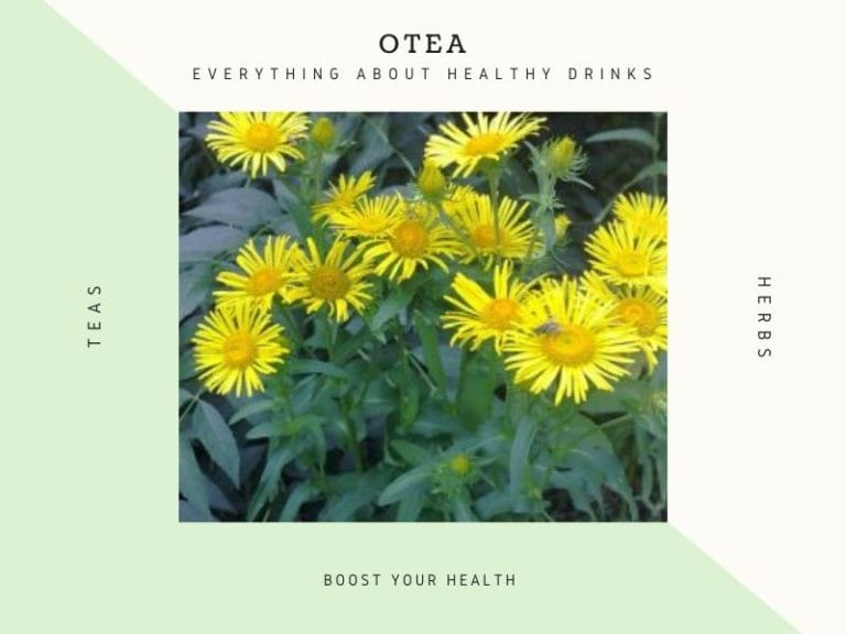 Natural and Effective Teas for the Lungs Health Natural and Effective Teas for the Lungs Health